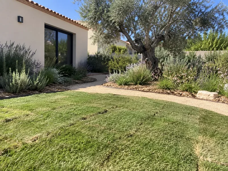 Jardín con césped cuidado y plantación mediterránea