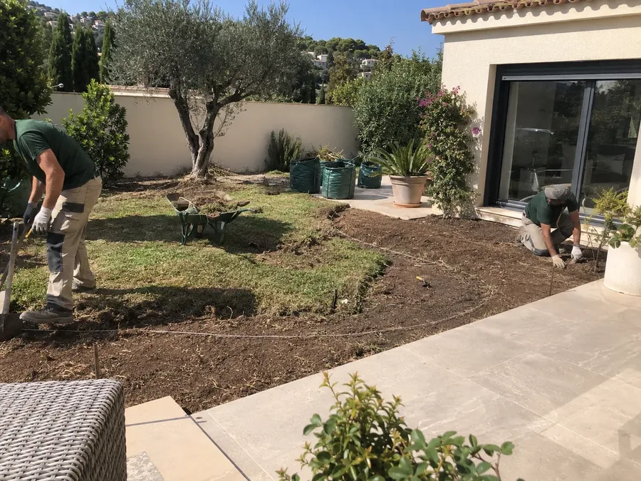 Preparación y plantación en un jardín